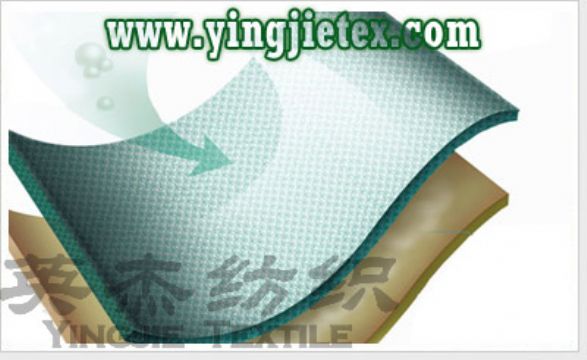 Jiangsu/Suzhou Germ Resistant And Deodorization Functional Fabrics Manufacturers